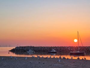 Photo 16- click for photo gallery